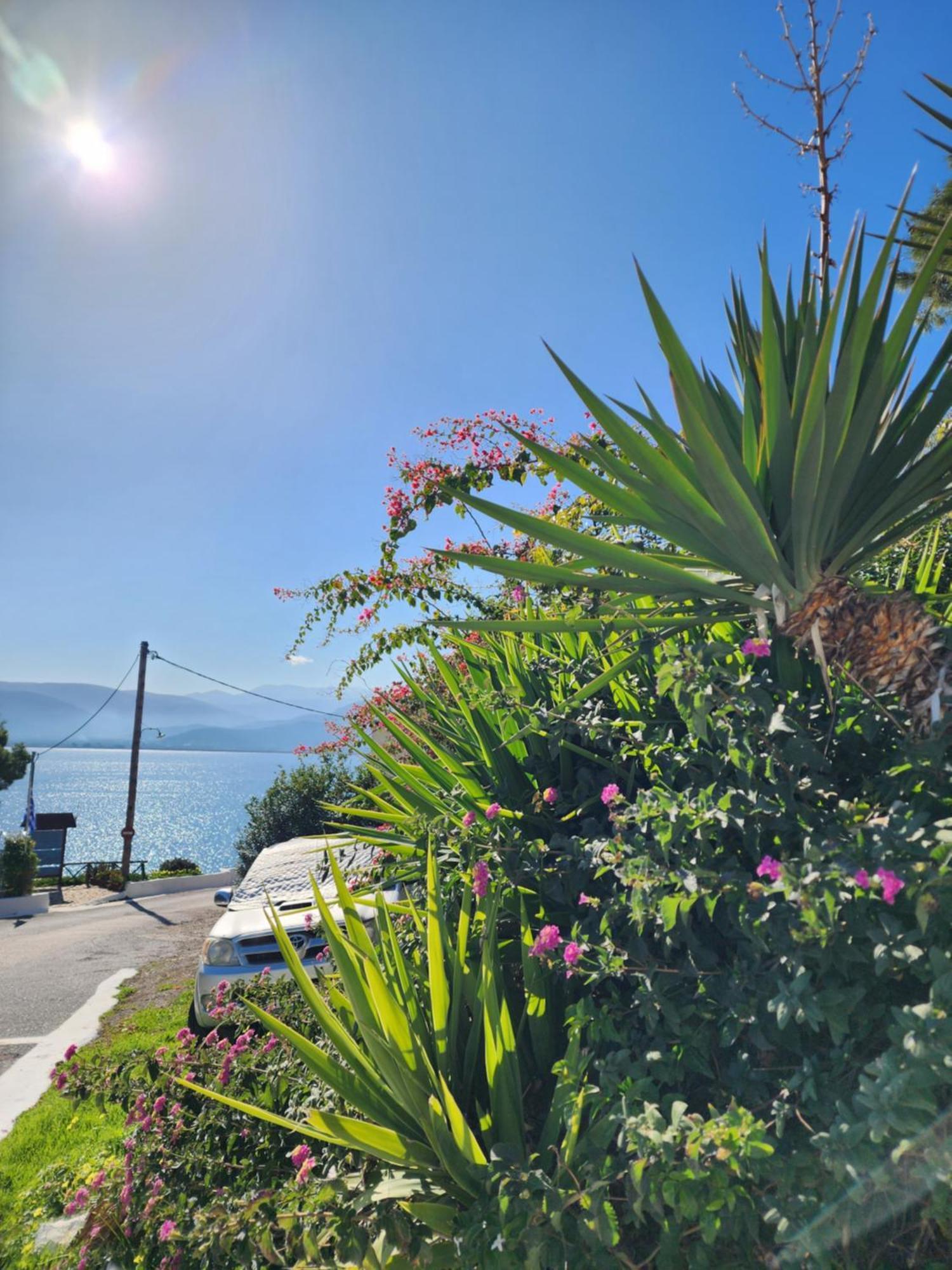 85 Sqm Apartments New Panorama Electric Car Φωρτησησ Station Parálion Ástros Eksteriør bilde